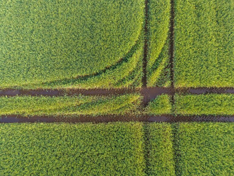 Tracteur agriculture