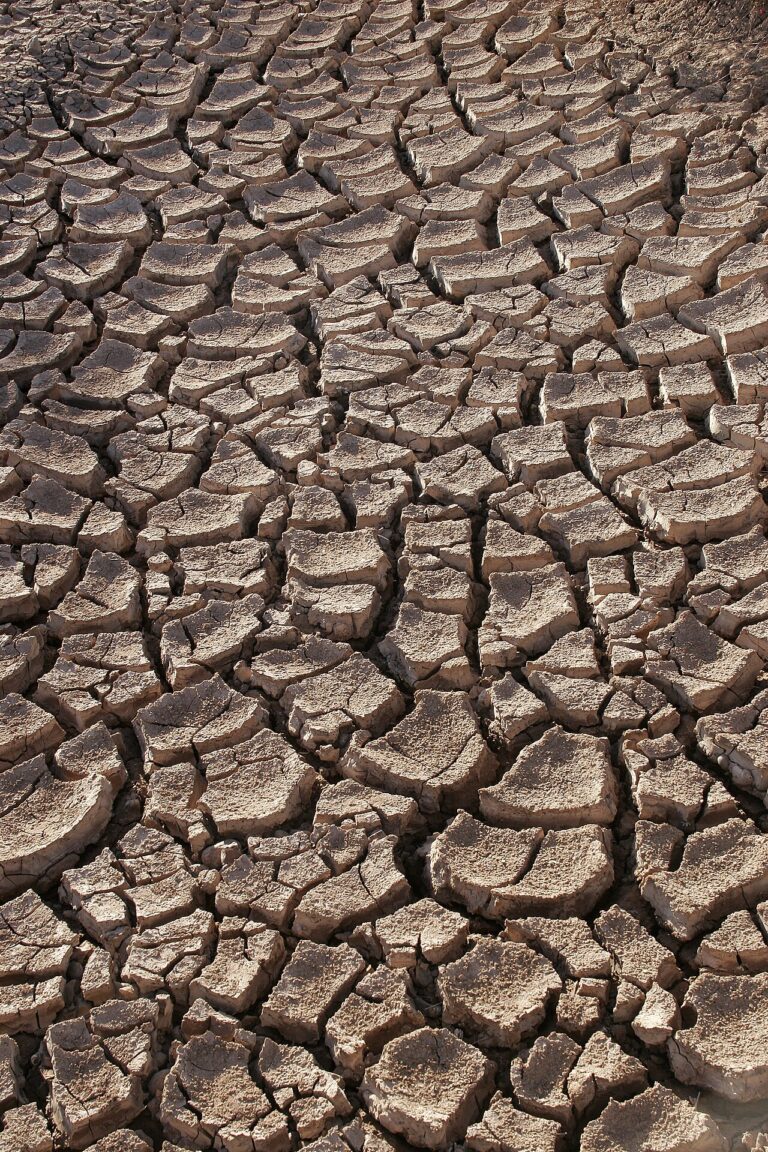 Ondata di caldo in arrivo: estate anomala, quando finirà davvero