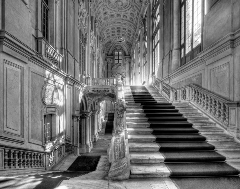 Violenza al Senato: imprenditrice denuncia senatore FI