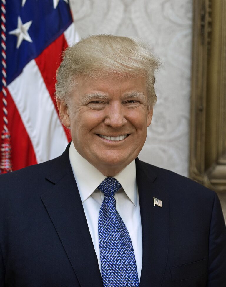 Donald Trump portrait