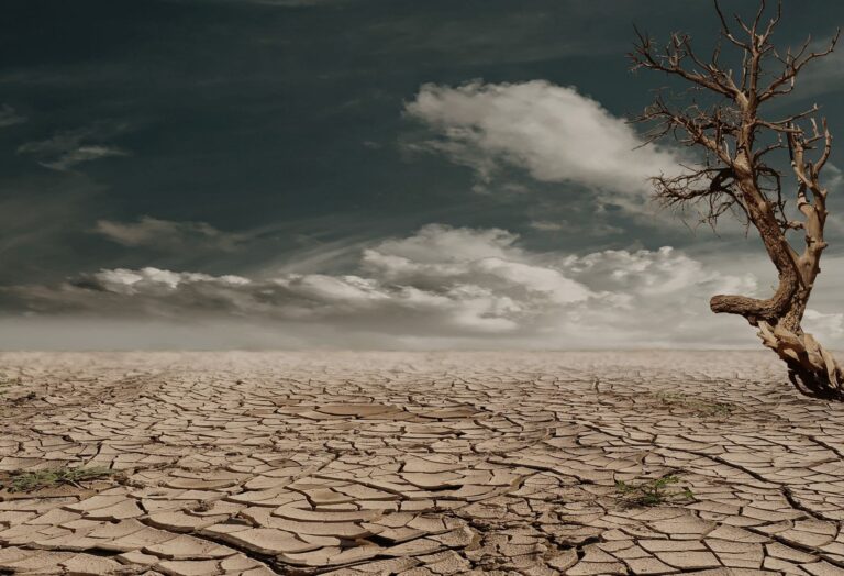 Giugno 2024 il più caldo in Europa: temperature 3°C sopra la media