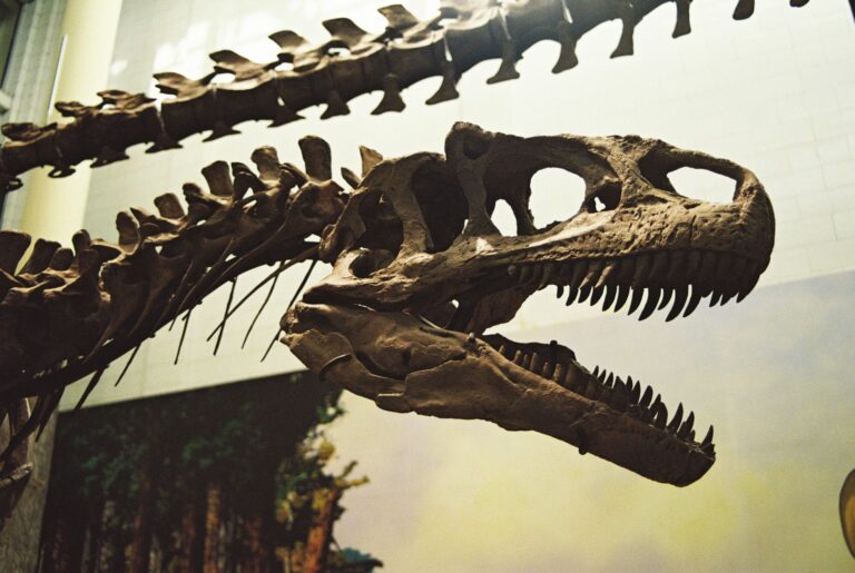 Sam Neill morto, addio all’Alan Grant di Jurassic Park