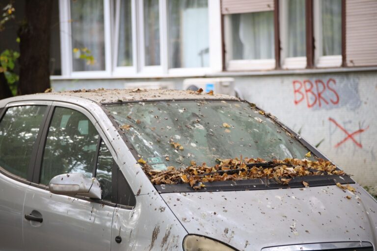 Maxi-grandine sull’A13: auto distrutte e feriti, «sembrava un bombardamento»