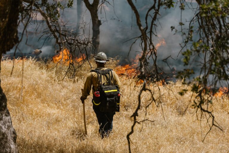 Incendi in Sicilia, vigile del fuoco muore nel Nisseno