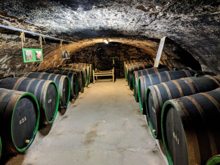 Emidio Pepe, addio al patriarca del vino abruzzese