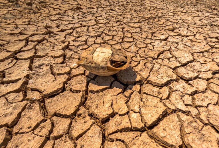 Copernicus: agosto 2026 è il mese più caldo mai registrato